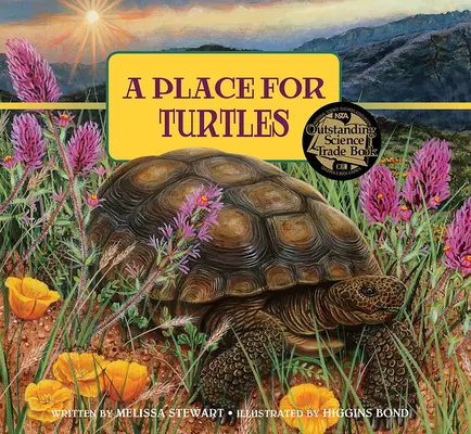 Un loc pentru țestoase - A Place for Turtles