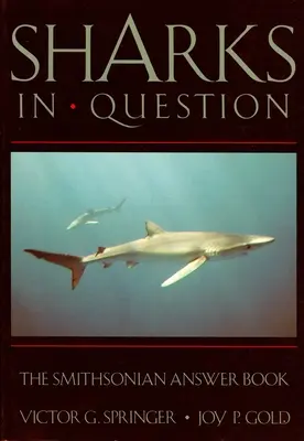 Rechinii în discuție - Sharks in Question