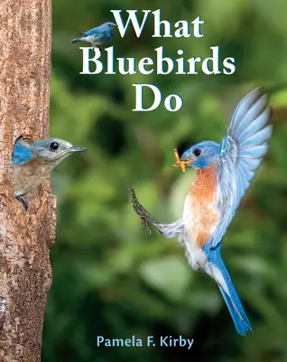 Ce fac păsările albastre - What Bluebirds Do