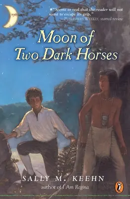 Luna a doi cai întunecați - Moon of Two Dark Horses