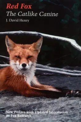 Vulpea roșie - caninul asemănător pisicii - Red Fox - The Catlike Canine