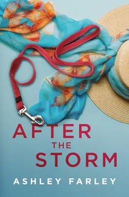 După furtună - After the Storm