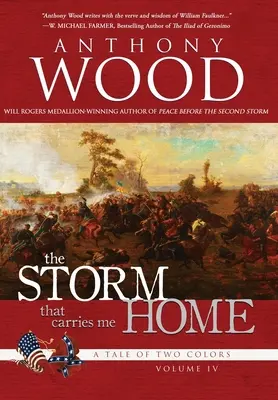 The Storm That Carries Me Home (Furtuna care mă duce acasă): O poveste din Războiul Civil - The Storm That Carries Me Home: A Story of the Civil War