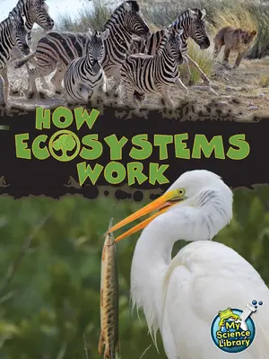 Cum funcționează ecosistemele - How Ecosystems Work