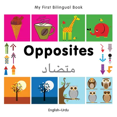 My First Bilingual Book-Opposites (Engleză-Urdu) - My First Bilingual Book-Opposites (English-Urdu)