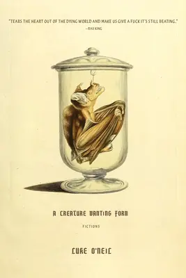O creatură care vrea formă: Ficțiuni - A Creature Wanting Form: Fictions