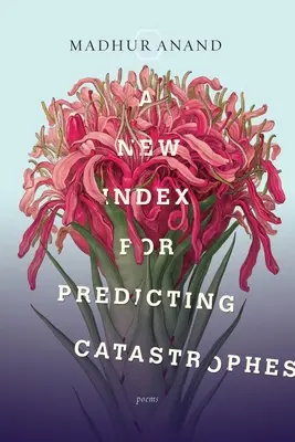 Un nou indice pentru prezicerea catastrofelor - A New Index for Predicting Catastrophes