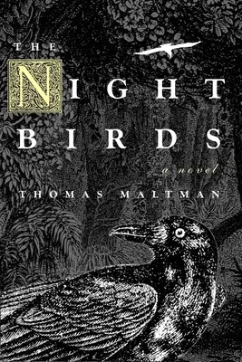 Păsările nopții - The Night Birds