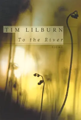 Spre râu - To the River