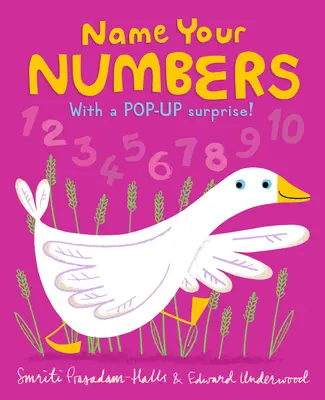 Numește-ți numerele - Name Your Numbers