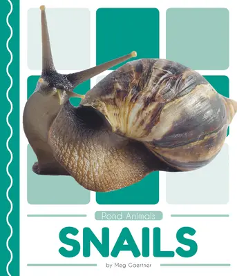 Melci - Snails