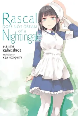 Rascal Does Not Dream of a Nightingale (roman ușor) - Rascal Does Not Dream of a Nightingale (Light Novel)