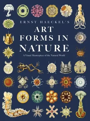 Forme de artă în natură de Ernst Haeckel: O capodoperă vizuală a lumii naturale - Ernst Haeckel's Art Forms in Nature: A Visual Masterpiece of the Natural World