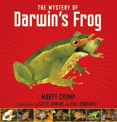 Misterul broaștei lui Darwin - The Mystery of Darwin's Frog