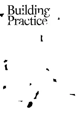 Construirea practicii - Building Practice