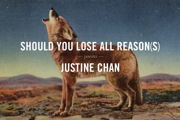 Ar trebui să vă pierdeți toate rațiunile - Should You Lose All Reason(s)