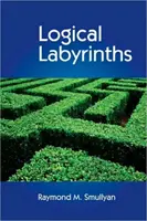 Labirinturi logice - Logical Labyrinths