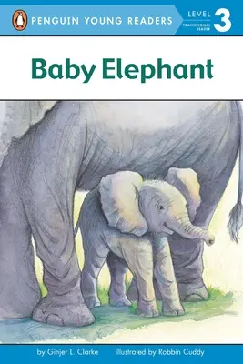 Pui de elefant - Baby Elephant