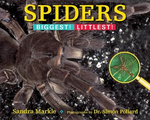 Păianjeni: Biggest! Cei mai mici! - Spiders: Biggest! Littlest!