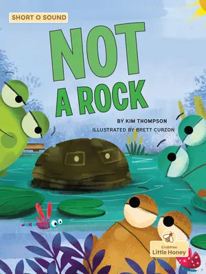 Nu o piatră - Not a Rock