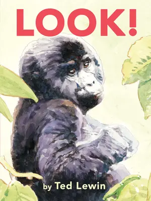 Privește! - Look!