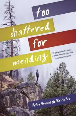 Too Shattered for Mending (Prea distrus pentru a fi reparat) - Too Shattered for Mending