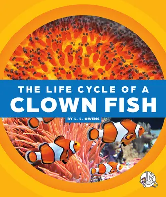 Ciclul de viață al unui pește clovn - The Life Cycle of a Clown Fish