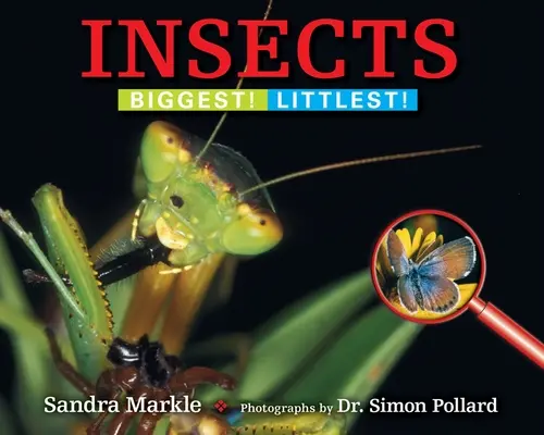 Insecte: Cele mai mari! Cele mai mici! - Insects: Biggest! Littlest!