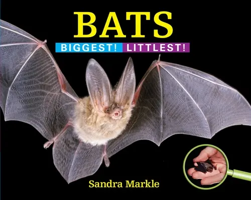 Lilieci: Cel mai mare! Cel mai mic! - Bats: Biggest! Littlest!