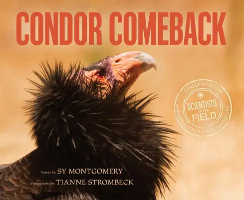 Revenirea condorului - Condor Comeback