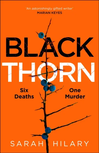 Black Thorn - Un thriller multistratificat obsedant și captivant despre familii, secretele și minciunile lor - Black Thorn - A haunting and captivating multi-layered thriller about families and their secrets and lies