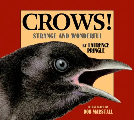 Corbii!: Ciudate și minunate - Crows!: Strange and Wonderful