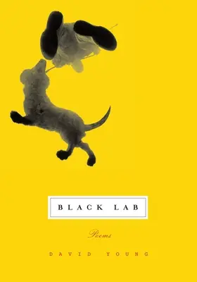 Laboratorul negru: Poezii - Black Lab: Poems