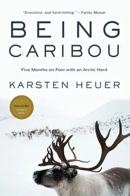 Being Caribou - Cinci luni pe jos cu o turmă arctică - Being Caribou - Five Months on Foot with an Arctic Herd