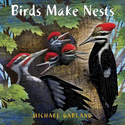 Păsările fac cuiburi - Birds Make Nests