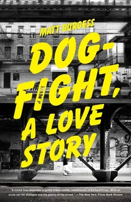 Dogfight, o poveste de dragoste - Dogfight, a Love Story