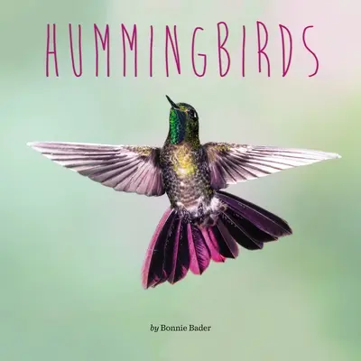 Colibri - Hummingbirds