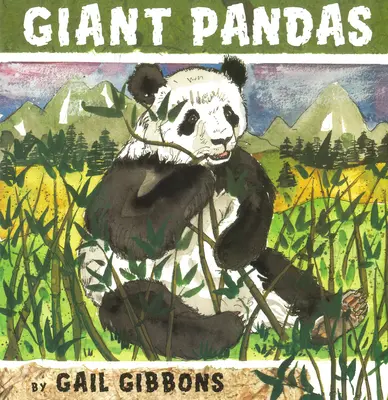 Pandorele uriașe - Giant Pandas
