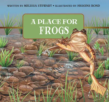 Un loc pentru broaște - A Place for Frogs