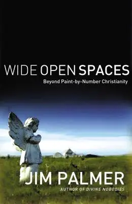 Spații larg deschise: Dincolo de creștinismul „Paint-By-Number - Wide Open Spaces: Beyond Paint-By-Number Christianity