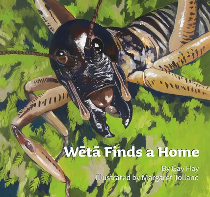 Weta își găsește o casă - Weta Finds a Home