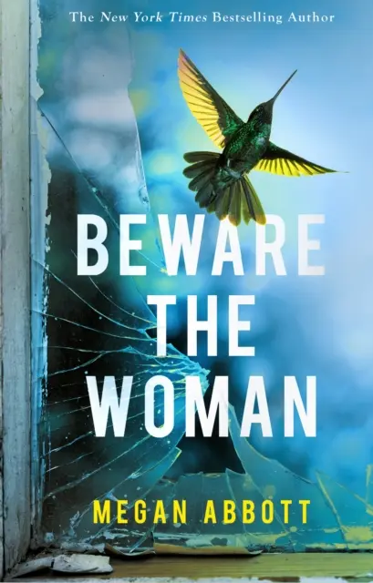 Beware the Woman - Noul thriller întortocheat și de nerefuzat despre secrete de familie pentru 2023 de autorul bestsellerului New York Times - Beware the Woman - The twisty, unputdownable new thriller about family secrets for 2023 by the New York Times bestselling author