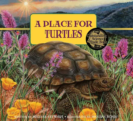 Un loc pentru țestoase - A Place for Turtles