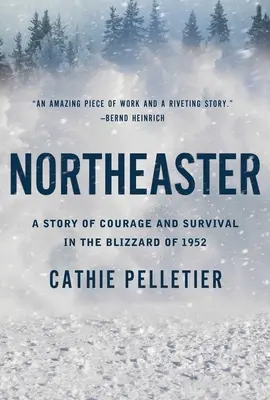 Northeaster: O poveste de curaj și supraviețuire în timpul viscolului din 1952 - Northeaster: A Story of Courage and Survival in the Blizzard of 1952