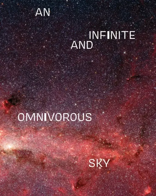 Un cer infinit și omnivor - An Infinite and Omnivorous Sky