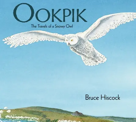 Ookpik: Călătoriile unei bufnițe de zăpadă (The Travels of a Snowy Owl) - Ookpik: The Travels of a Snowy Owl
