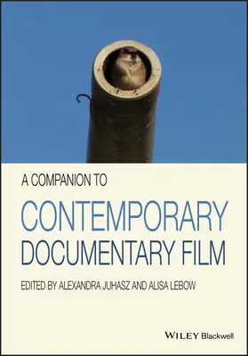 Un companion al filmului documentar contemporan - A Companion to Contemporary Documentary Film