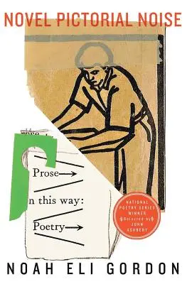 Roman pictural Zgomot - Novel Pictorial Noise