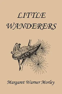 Little Wanderers, ediție ilustrată (Clasici de ieri) - Little Wanderers, Illustrated Edition (Yesterday's Classics)