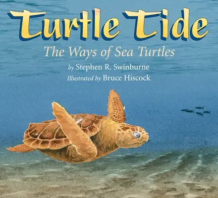 Turtle Tide: Modurile de viață ale țestoaselor de mare - Turtle Tide: The Ways of Sea Turtles